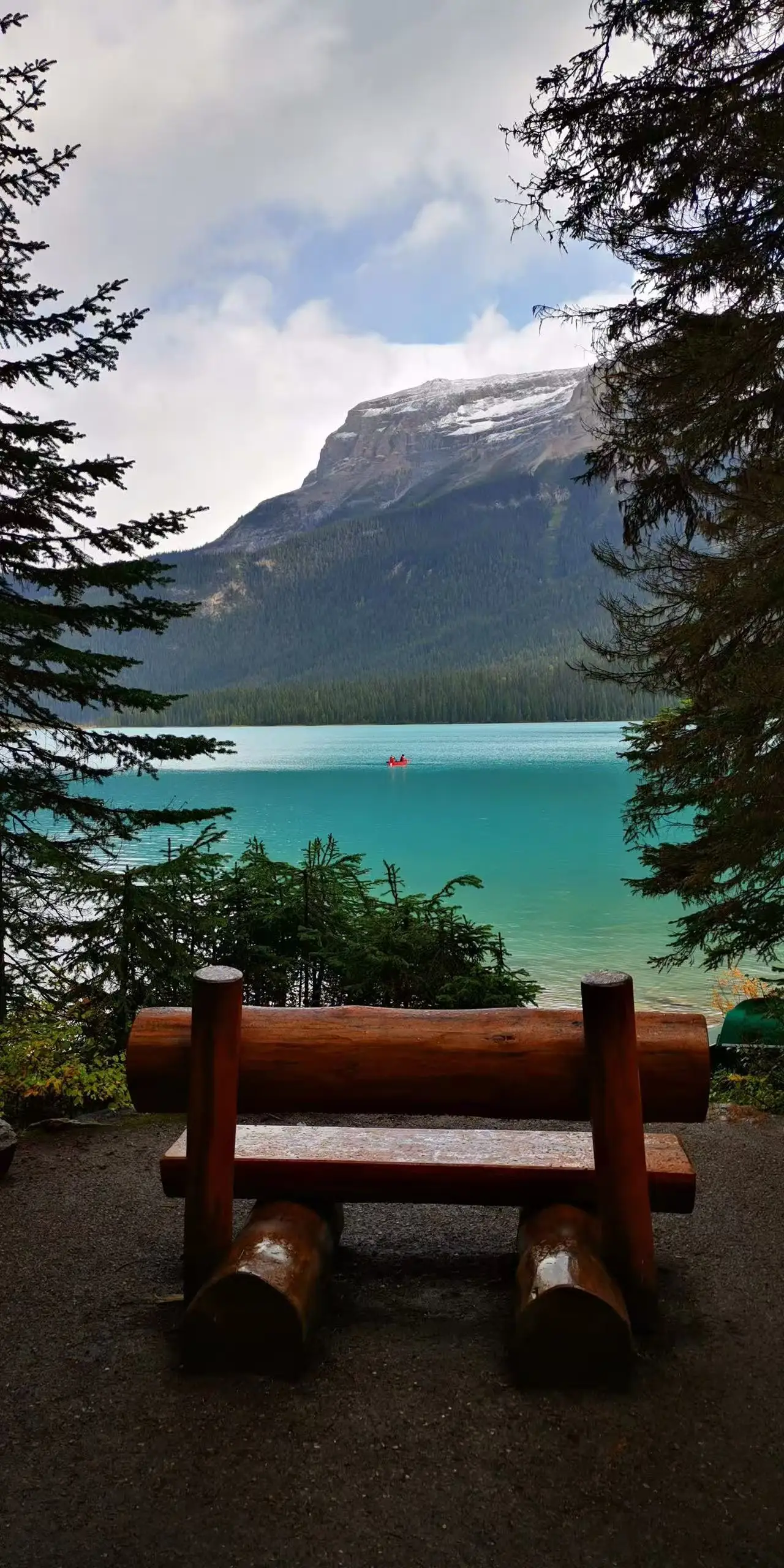 图片[12]-全美中国作家联谊会设宴欢迎上海著名摄影家徐祖伟夏茵伉俪访问美国-华闻时空