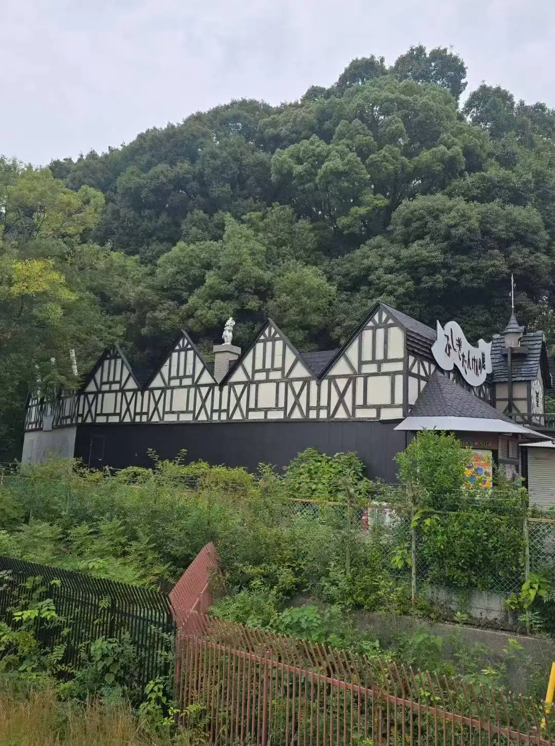 图片[23]-旅美摄影家沈世光先生镜头下的日本建筑-华闻时空