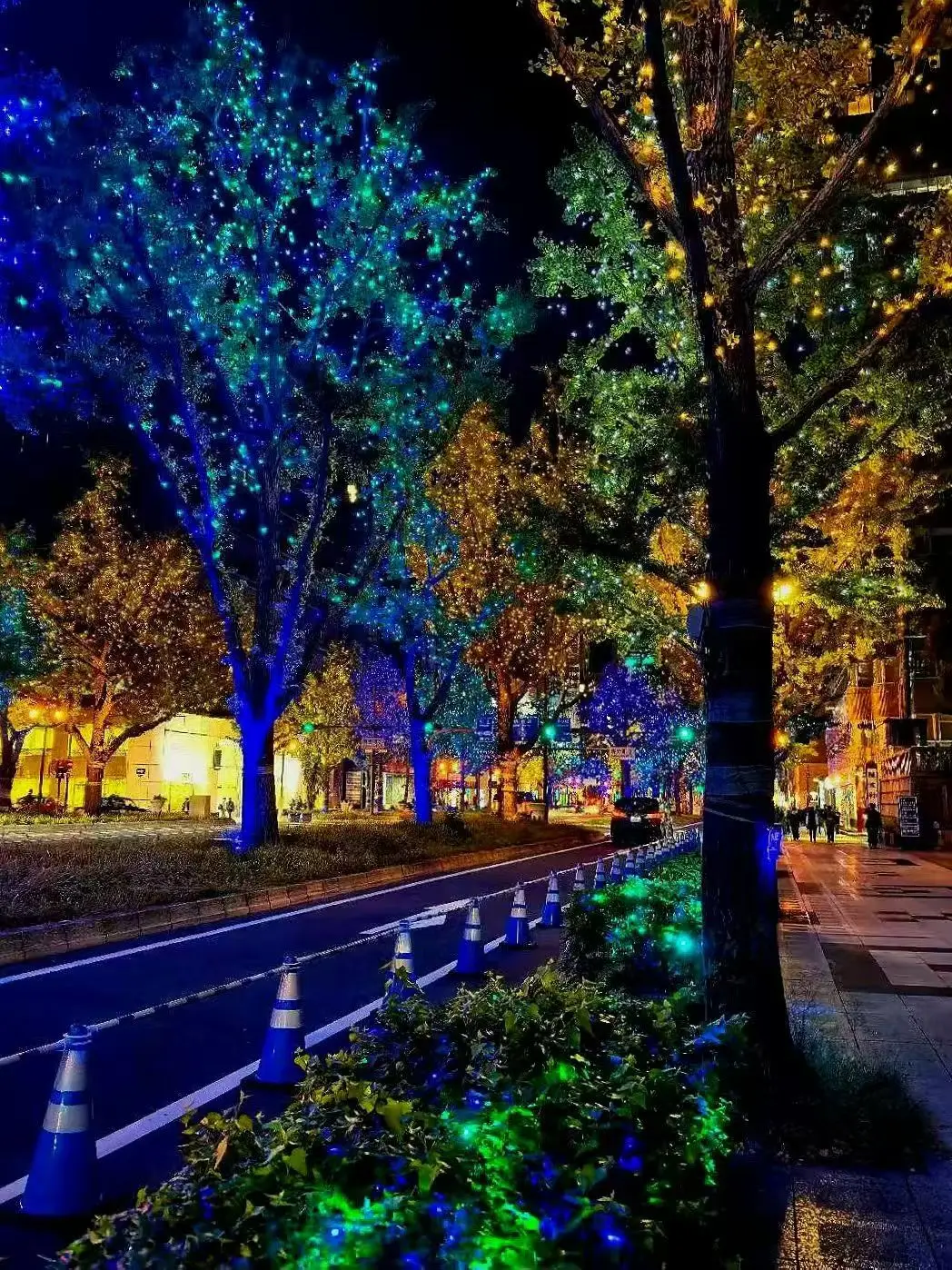 图片[27]-旅美摄影家沈世光先生镜头下的日本建筑-华闻时空