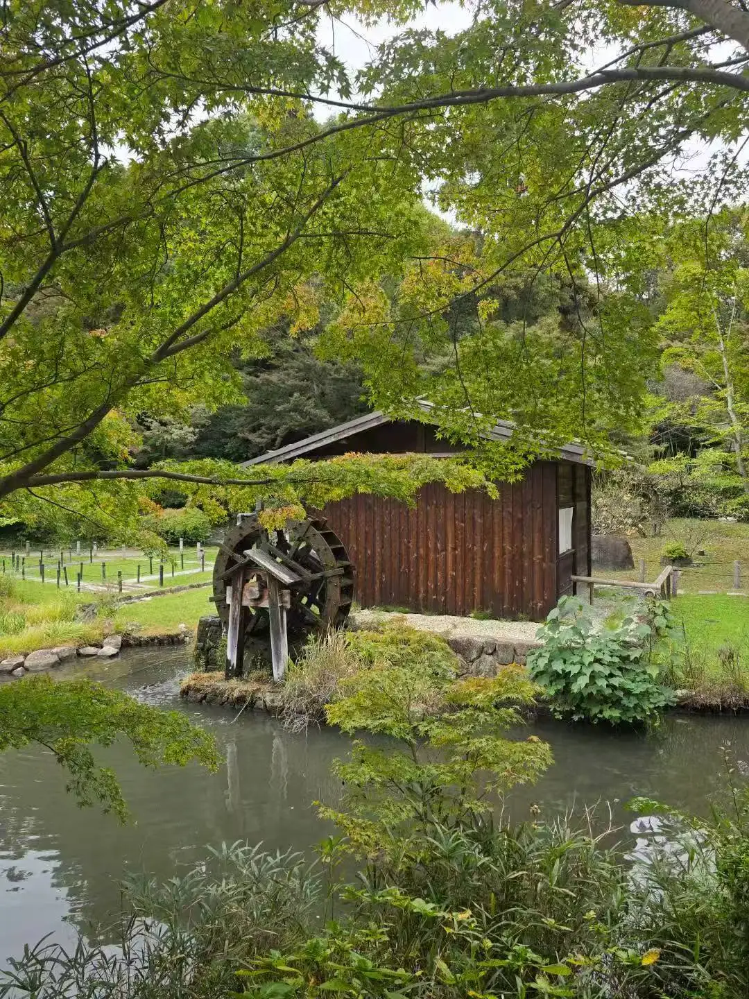 图片[22]-旅美摄影家沈世光先生镜头下的日本建筑-华闻时空