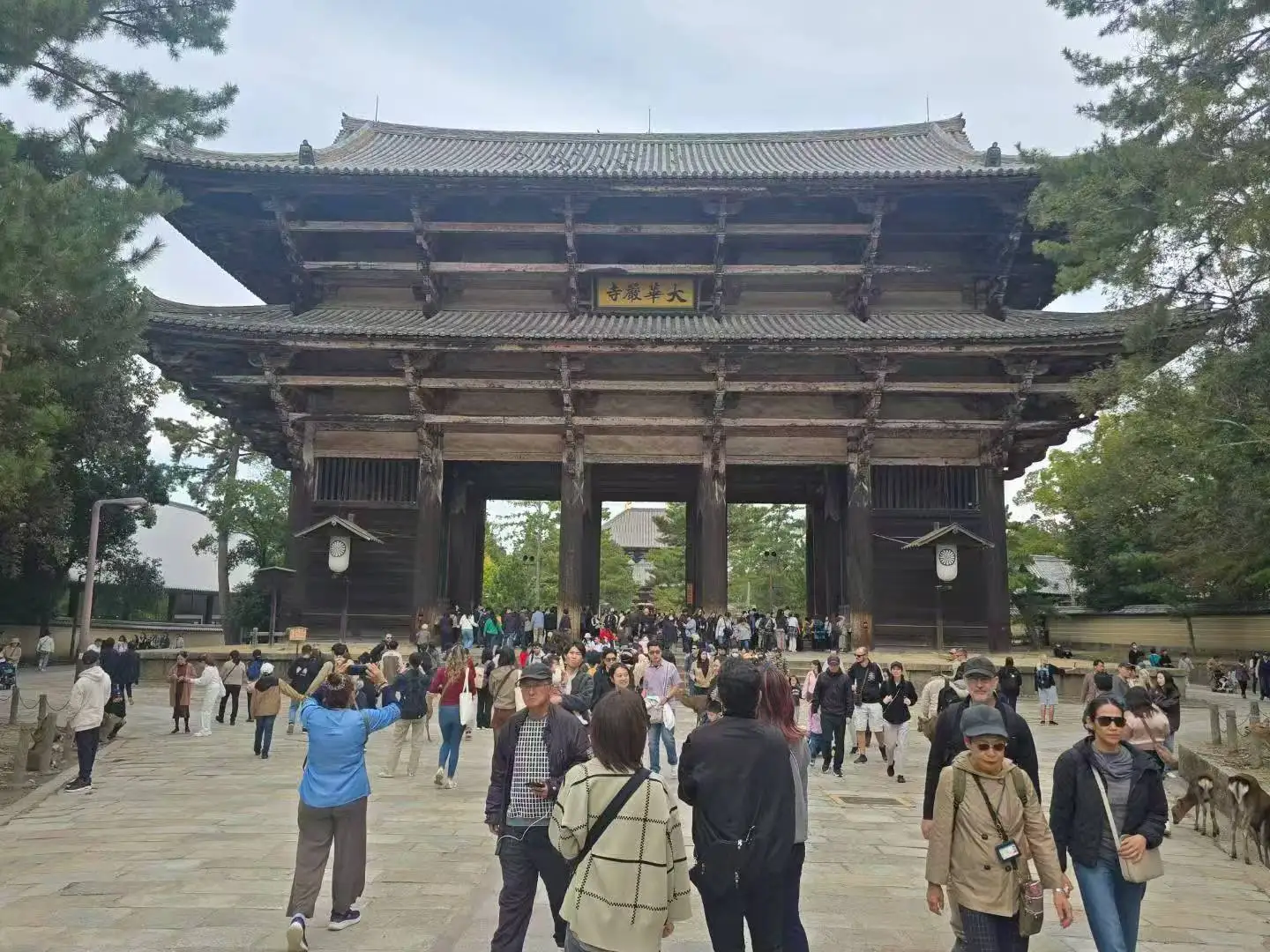 图片[42]-旅美摄影家沈世光先生镜头下的日本建筑-华闻时空