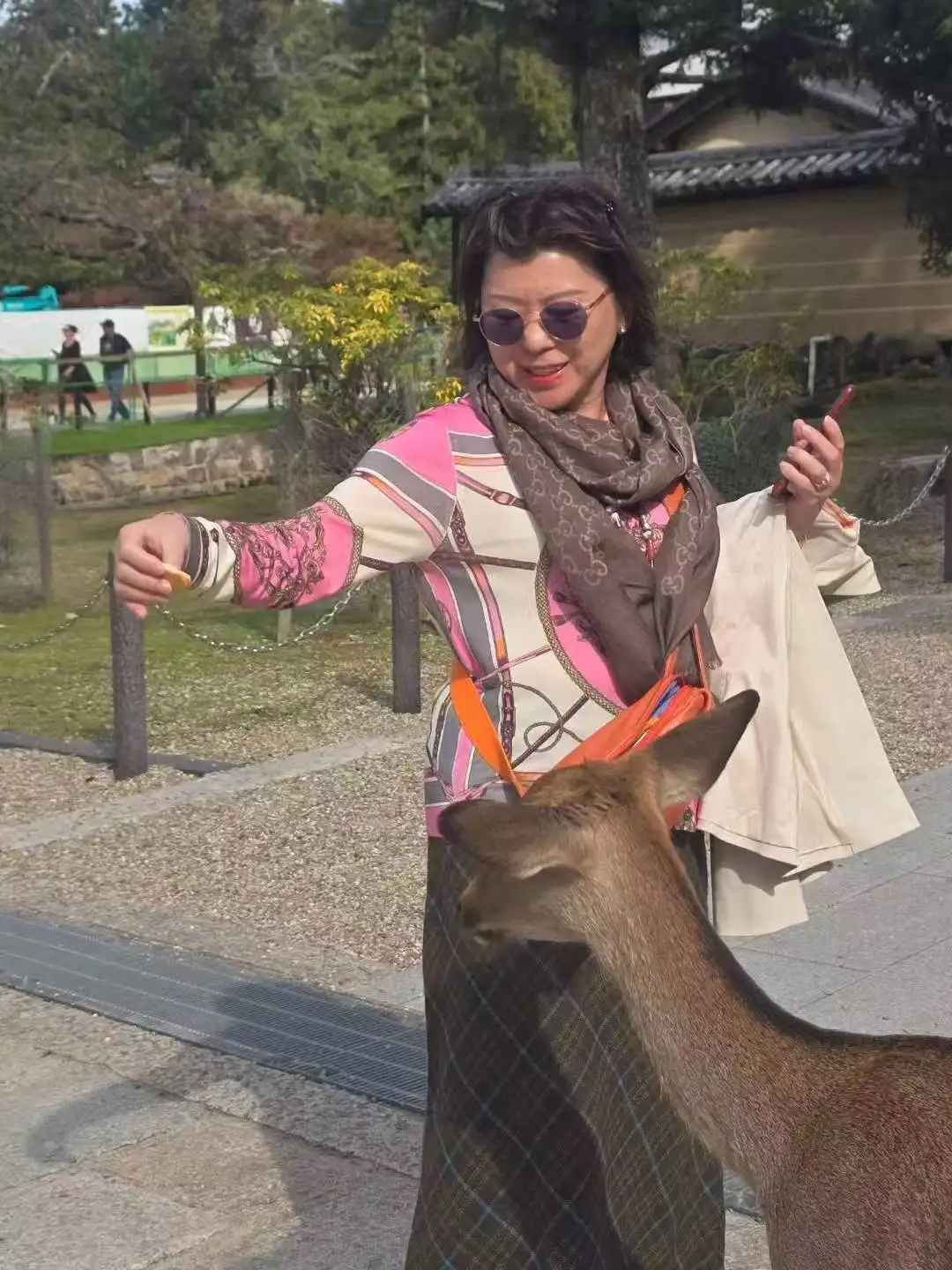 图片[38]-旅美摄影家沈世光先生镜头下的日本建筑-华闻时空