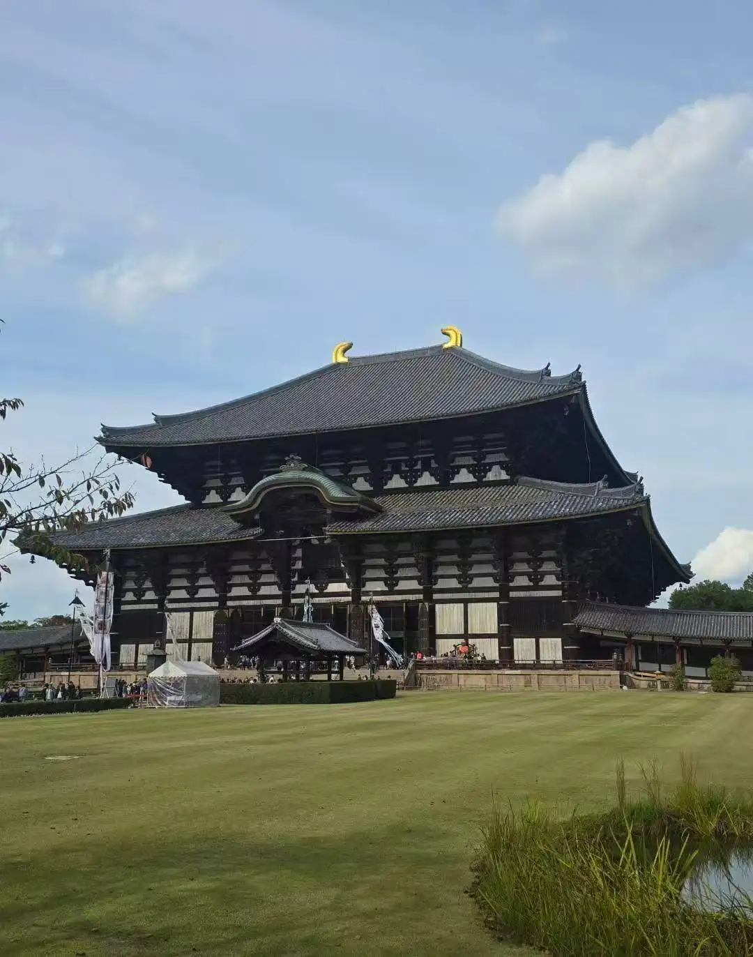 图片[34]-旅美摄影家沈世光先生镜头下的日本建筑-华闻时空