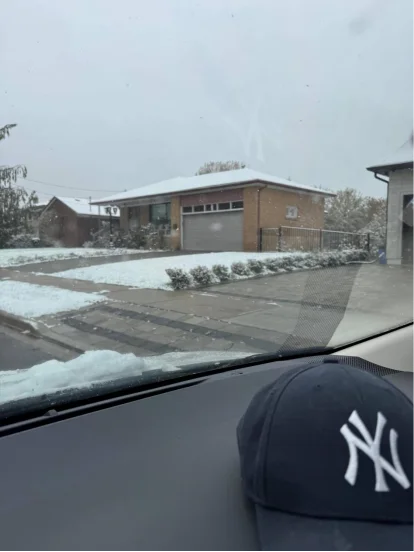 图片[1]-赵麟斌：老树新枝-华闻时空