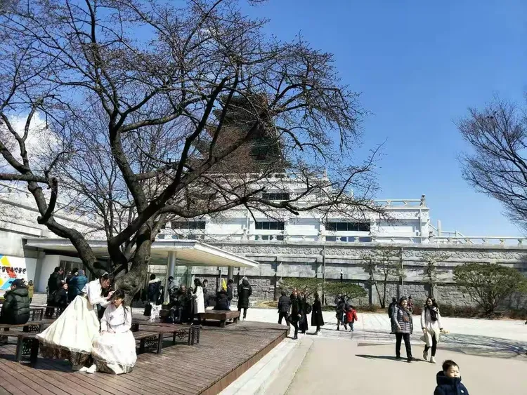 图片[4]-李彤河歌词五首-华闻时空