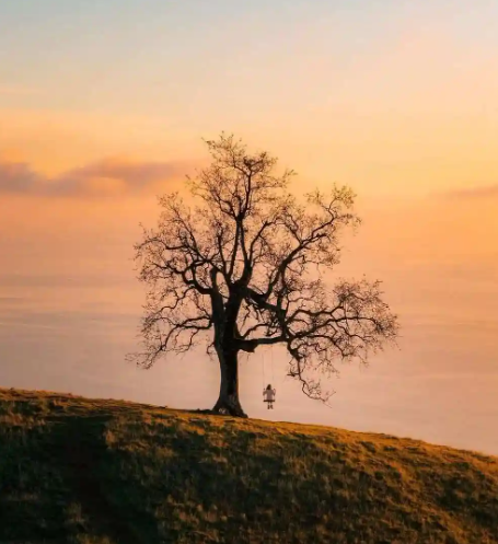 探究融媒体时代下用户个人信息的所有权问题——以大数据个性化推荐功能为例-华闻时空