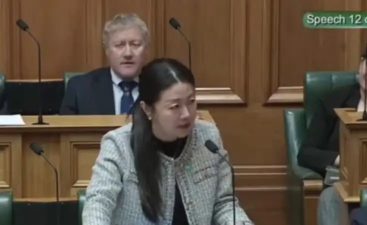 图片[1]-NZ华新社记者观察｜浅析新西兰国会“审查周”华人议员陆楠提问为何“一石击起千层浪”？一一-华闻时空