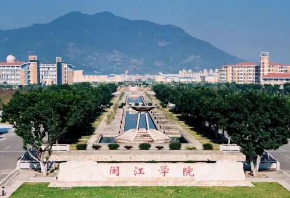 图片[1]-老树新枝-华闻时空