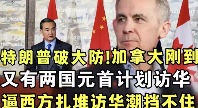 加拿大总理刚到北京，又有两国元首计划访华，懂王逼出西方访华潮，根本挡不住！-华闻时空