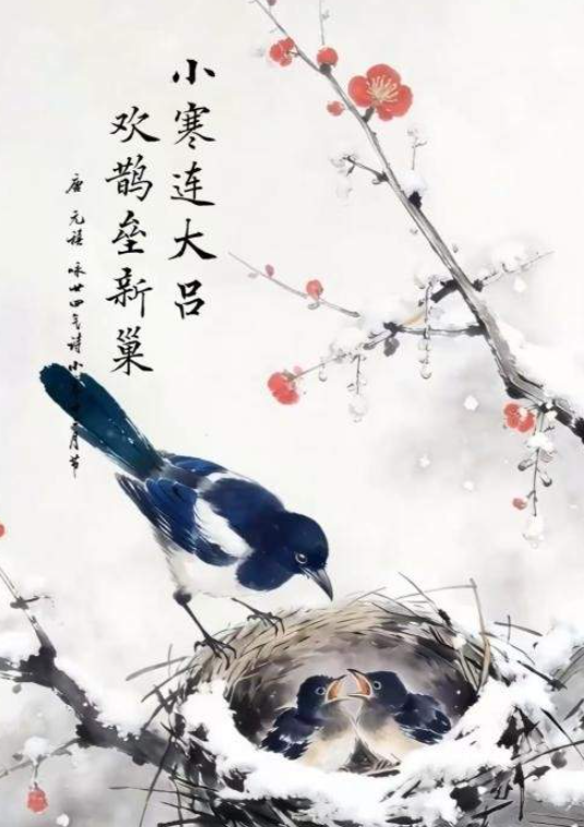 中国电视-《人间好时节》：小寒-华闻时空