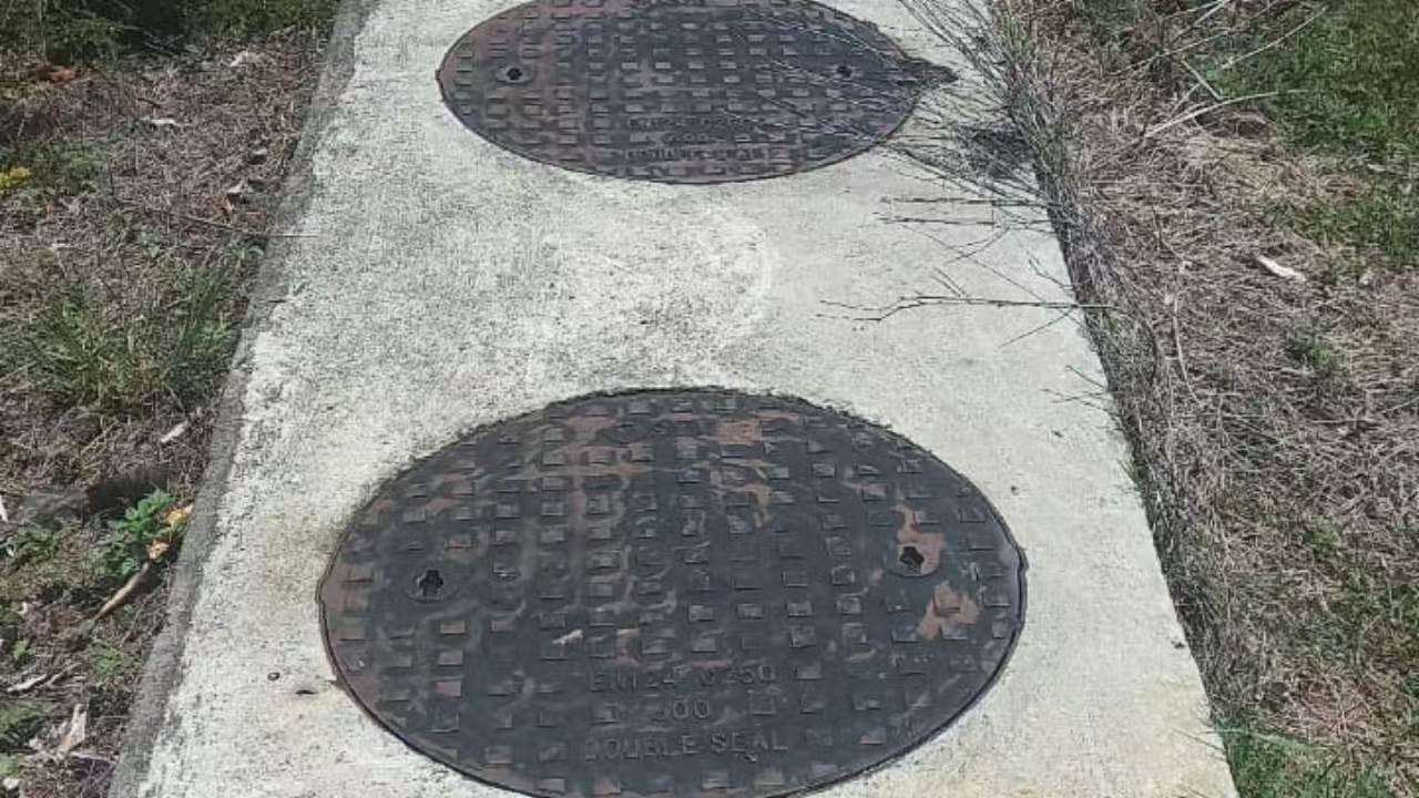 里安贝尔的居民报告鼠患持续严重-华闻时空