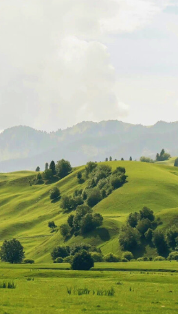 “海山哥”本色，跨文体写作的开放与创新-华闻时空