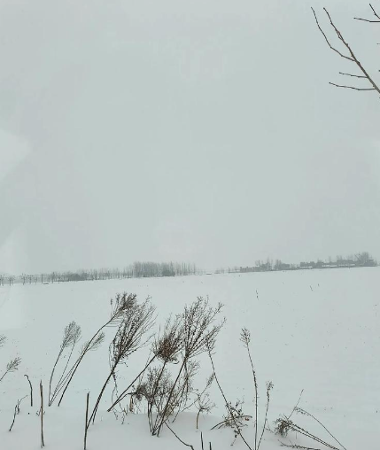 雪的独白-华闻时空