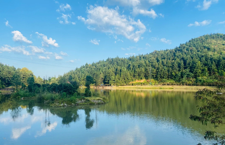 國際鄉村詩歌：天籁之音-华闻时空