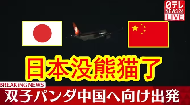 日媒：BREAKING NEWS！双胞胎大熊猫晓晓和蕾蕾从成田机场起飞回中国，日本从此再无大熊猫了！-华闻时空