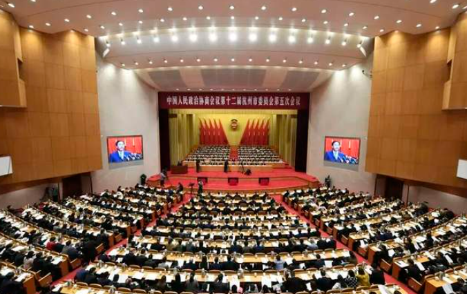 关注杭州市两会，侨胞们这样说-华闻时空