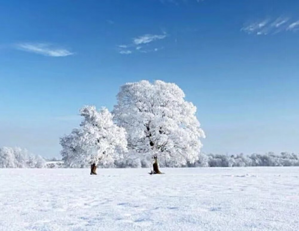 诗赏读：十二月诗选 | 神仙伪装为雪花-华闻时空