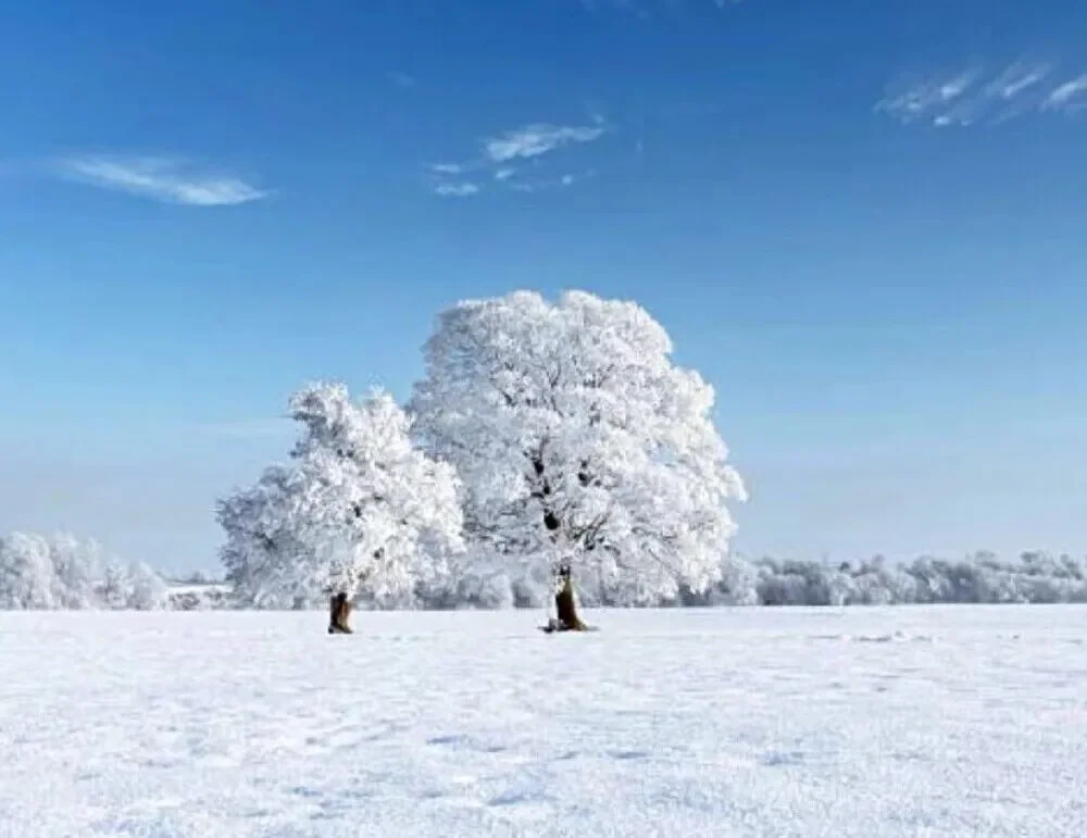 图片[1]-诗赏读：十二月诗选 | 神仙伪装为雪花-华闻时空