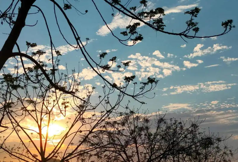 姜敏达诗歌欣赏：我们看到什么-华闻时空