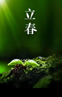 姜敏达诗歌欣赏：立春-华闻时空