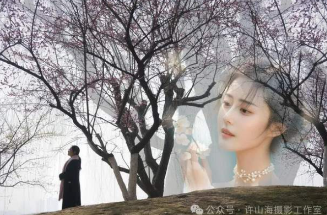 《梅花》-华闻时空