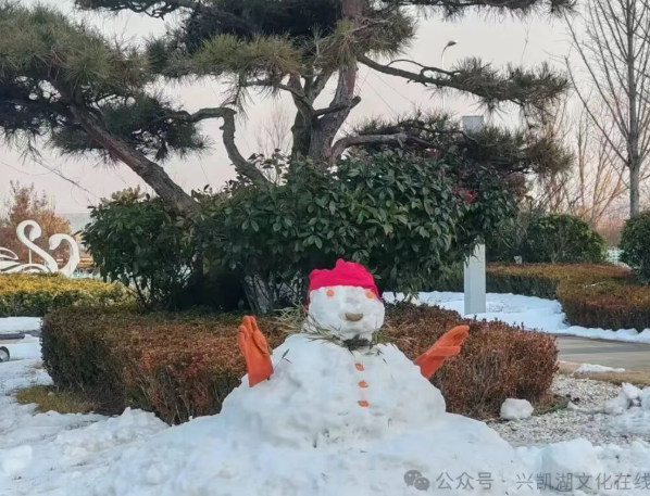 【2026年春节专刊:诗歌】杨秀芹:雪翁守岁-华闻时空