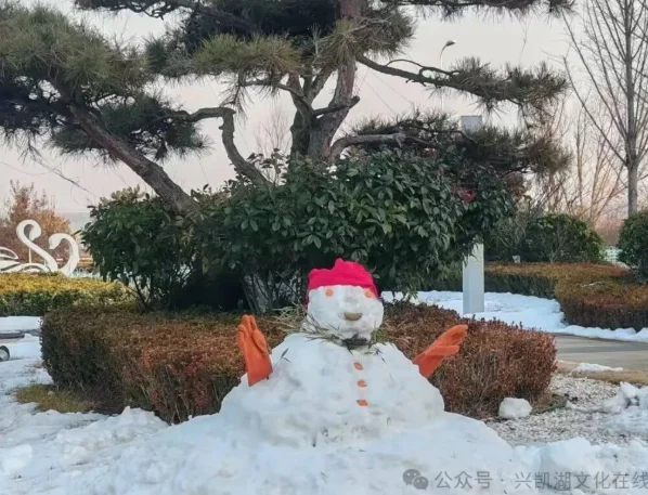 图片[1]-【2026年春节专刊：诗歌】杨秀芹：雪翁守岁-华闻时空