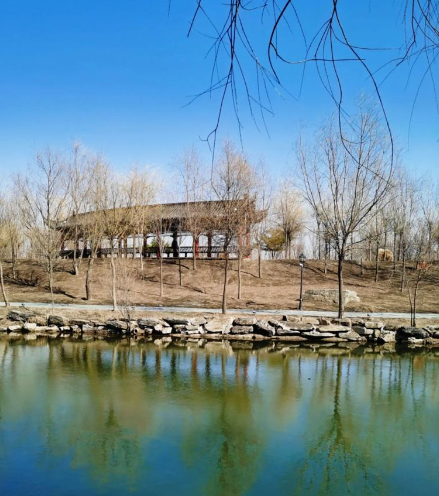 姜敏达诗歌欣赏：孤独-华闻时空