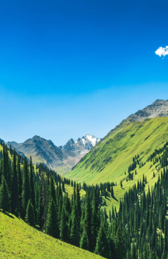 姜敏达诗歌欣赏：《一只耳朵与另一只耳朵》（外一首）-华闻时空