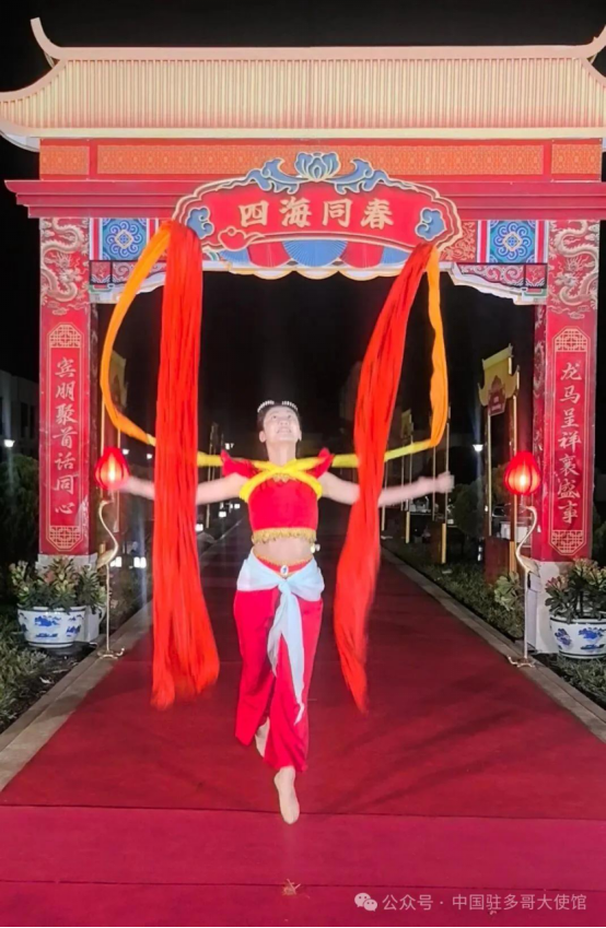 图片[4]-多哥：使馆举办“欢乐中国年暨中非人文交流年洛美首秀”新春招待会-华闻时空