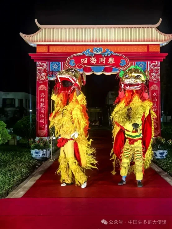 图片[8]-多哥：使馆举办“欢乐中国年暨中非人文交流年洛美首秀”新春招待会-华闻时空