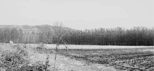 图片[1]-农民讨债（23）丨古宅沧海难为水——远去的乡愁和一帘幽梦-华闻时空