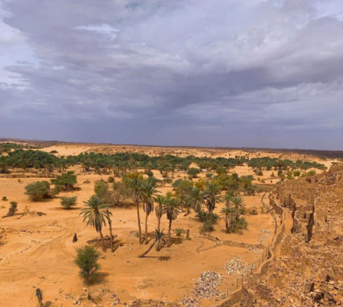 毛里塔尼亚：使馆提醒长期居留的中国公民按规定申办居留证-华闻时空