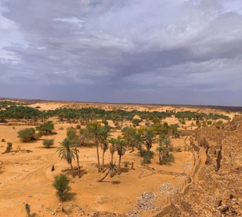 图片[1]-毛里塔尼亚：使馆提醒长期居留的中国公民按规定申办居留证-华闻时空