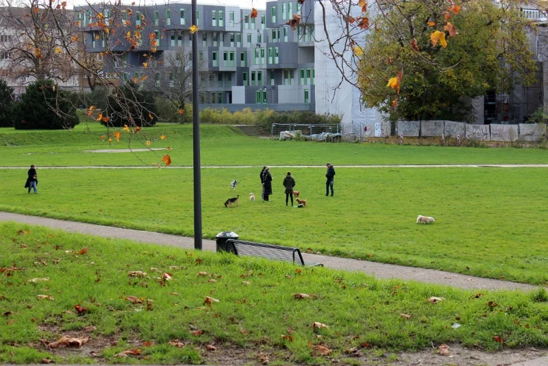 图片[5]-科隆“奇遇记”（上）-华闻时空