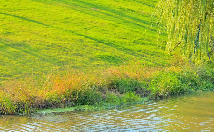 银牌的阴影与酒杯的锋芒——评冰凌幽默小说《写小说的儿子和当厂长的爸爸》-华闻时空