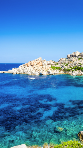 姜敏达诗歌欣赏：当风停下来-华闻时空