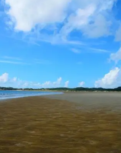 姜敏达诗歌欣赏：当风停下来-华闻时空