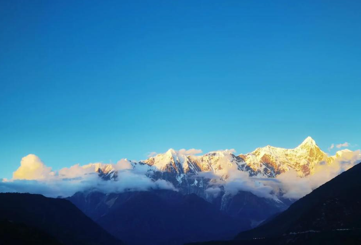 旧账本与新算法所演绎的人生“纯洁无瑕”——重读冰凌《马林苏》的叙事伦理-华闻时空