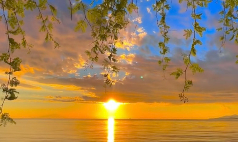 断裂处见粉干：缝合传统的裂隙与焦虑——读冰凌《关于振兴传统粉干的若干条建议构想》-华闻时空