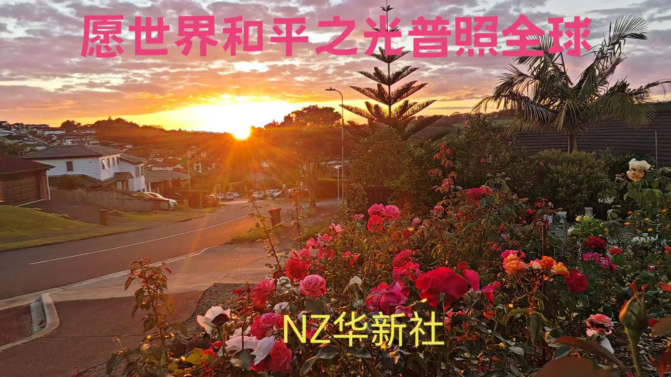 图片[1]-NZ华新社国际述评：《倡导世界和平是世界经济复苏的前提与必由之路》-华闻时空