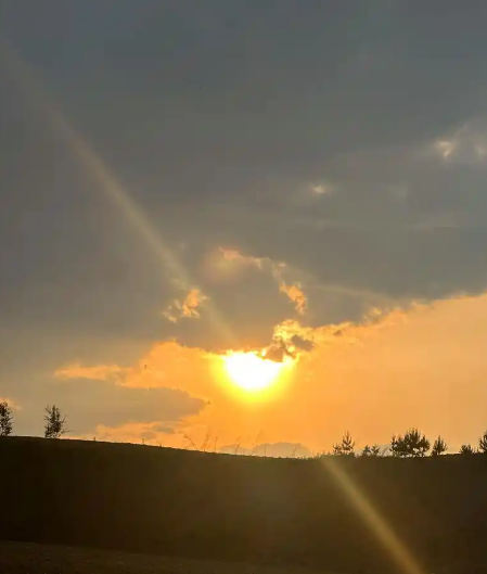 姜敏达诗歌欣赏：《我也会累，碎成两半》（外一首）-华闻时空