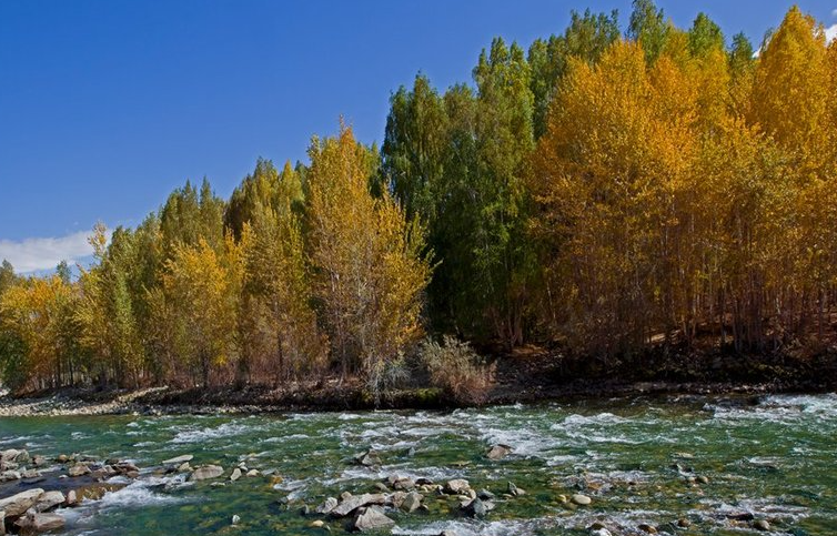 评冰凌《咸肉》:那一坛被时代腌透的“酸”-华闻时空