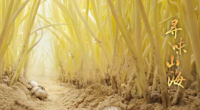 中国电视-《寻味山海》：主创手记-华闻时空