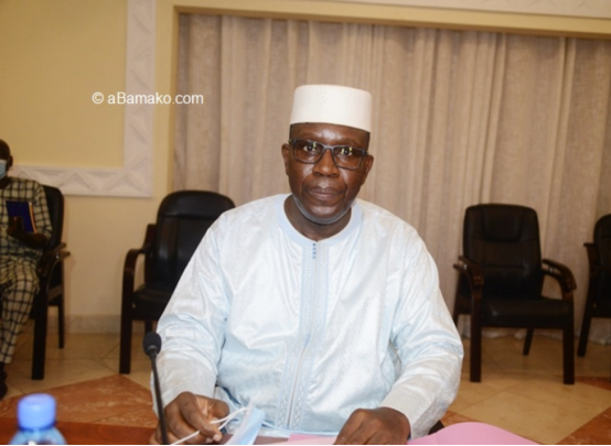 马里:部长会议于 11 日通过有关金矿特种大队组建的文本草案-华闻时空