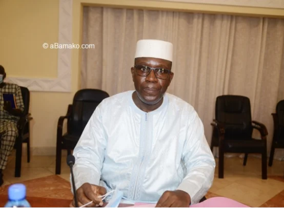 图片[1]-马里：部长会议于 11 日通过有关金矿特种大队组建的文本草案-华闻时空