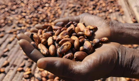 科特迪瓦：本土制造进军法国和欧洲市场-华闻时空