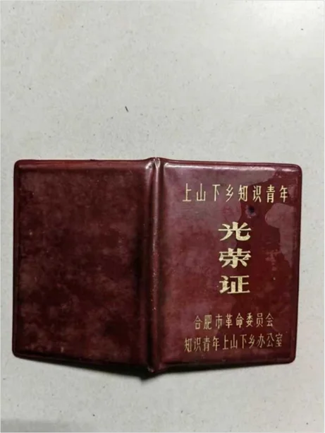 图片[9]-魂归故里丨古宅沧海难为水——远去的乡愁和一帘幽梦-华闻时空